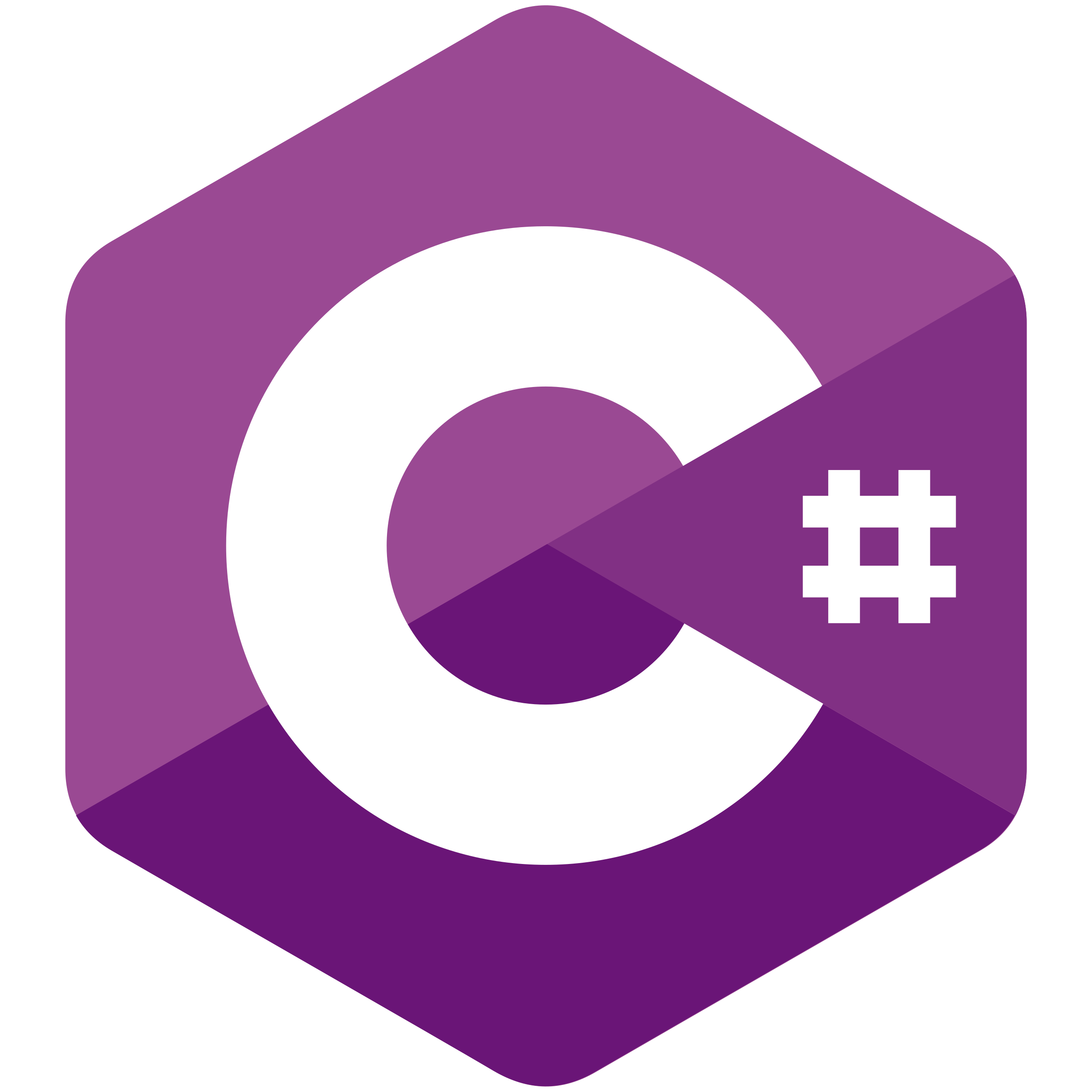 logo_c#_rest_api_development_magnusminds