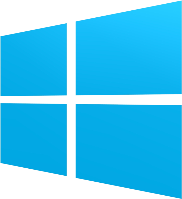logo window magnusminds