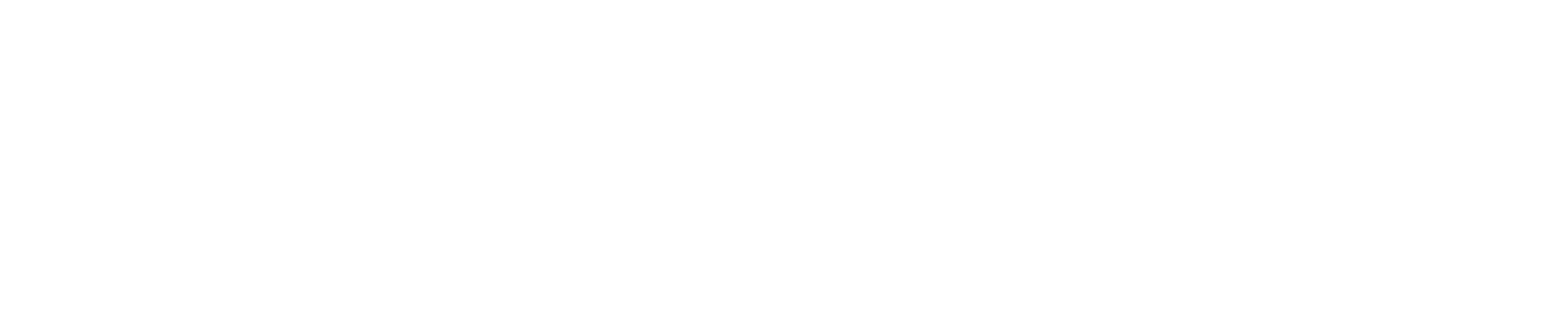 MagnusMinds